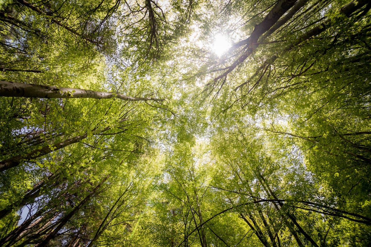 List of services provided by Psyconomix